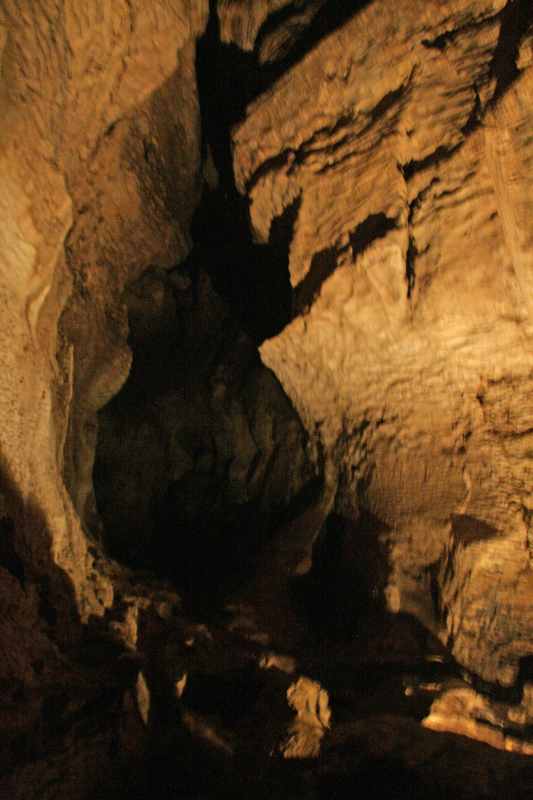 Nieuw-Zeeland 2011 - 0544